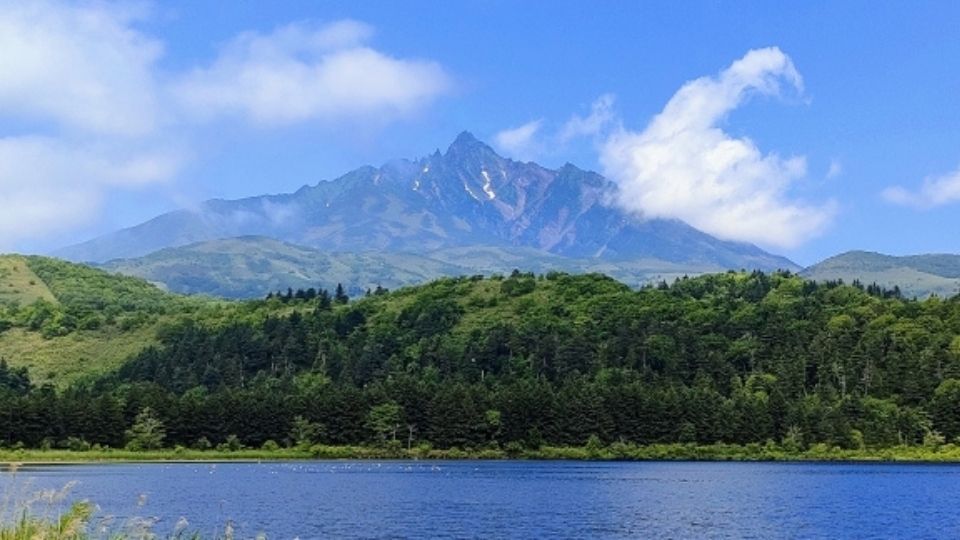 2026年最新】利尻島・礼文島「初夏の完全ガイド」！解禁直後のウニ 